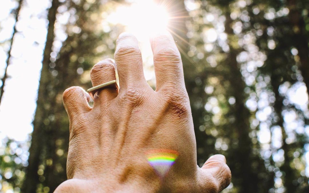 Recharge and reconnect through nature